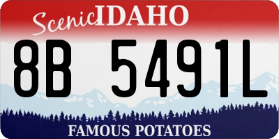 ID license plate 8B5491L
