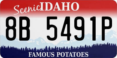 ID license plate 8B5491P