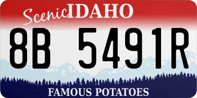 ID license plate 8B5491R