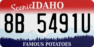 ID license plate 8B5491U
