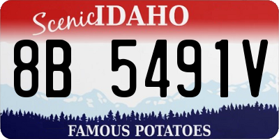 ID license plate 8B5491V
