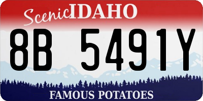 ID license plate 8B5491Y