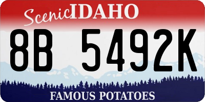 ID license plate 8B5492K