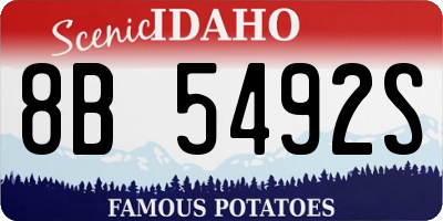 ID license plate 8B5492S