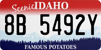 ID license plate 8B5492Y