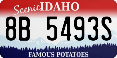 ID license plate 8B5493S