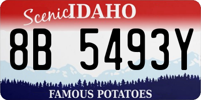 ID license plate 8B5493Y