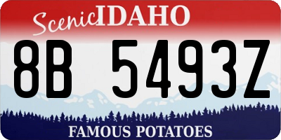 ID license plate 8B5493Z