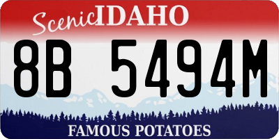 ID license plate 8B5494M