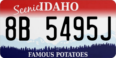 ID license plate 8B5495J