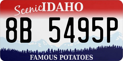 ID license plate 8B5495P
