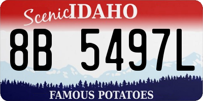 ID license plate 8B5497L