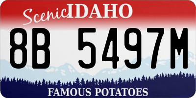 ID license plate 8B5497M