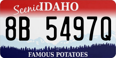 ID license plate 8B5497Q