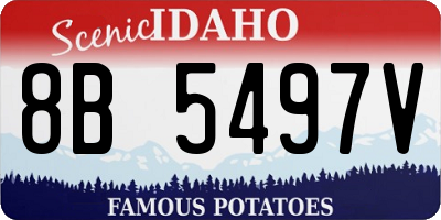 ID license plate 8B5497V