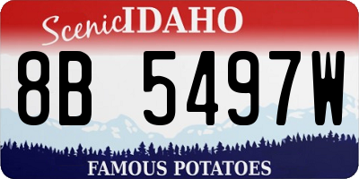ID license plate 8B5497W