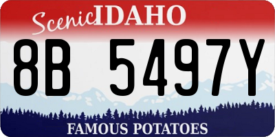 ID license plate 8B5497Y