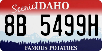 ID license plate 8B5499H