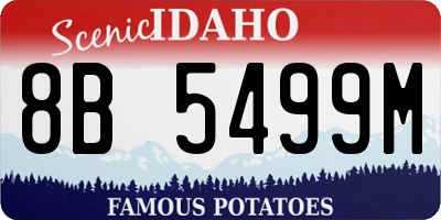 ID license plate 8B5499M