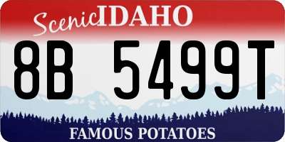 ID license plate 8B5499T