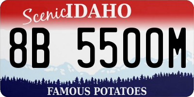 ID license plate 8B5500M
