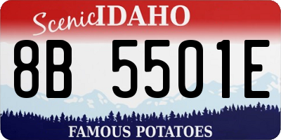 ID license plate 8B5501E