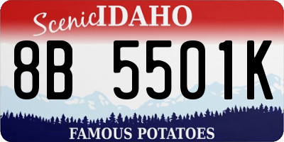 ID license plate 8B5501K