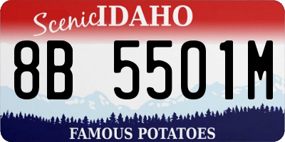 ID license plate 8B5501M