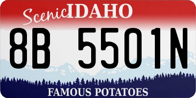 ID license plate 8B5501N