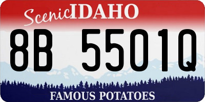 ID license plate 8B5501Q