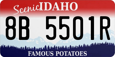 ID license plate 8B5501R