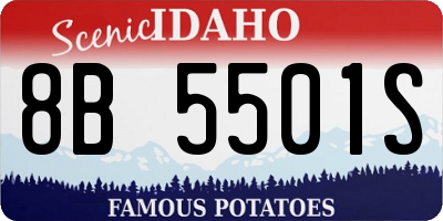 ID license plate 8B5501S