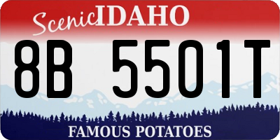 ID license plate 8B5501T