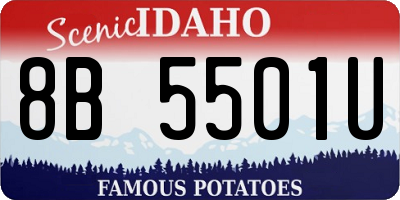 ID license plate 8B5501U