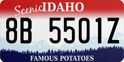 ID license plate 8B5501Z