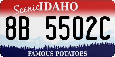 ID license plate 8B5502C