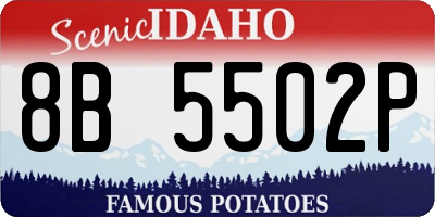 ID license plate 8B5502P