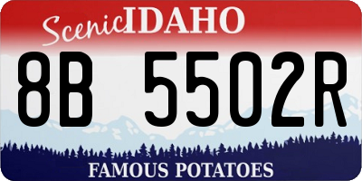 ID license plate 8B5502R