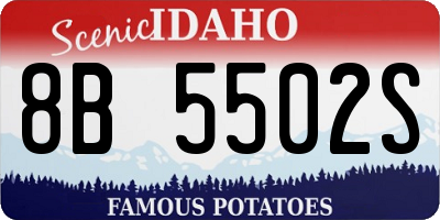 ID license plate 8B5502S