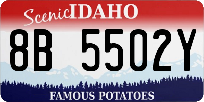 ID license plate 8B5502Y