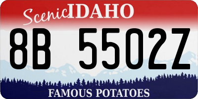 ID license plate 8B5502Z