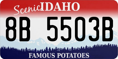 ID license plate 8B5503B