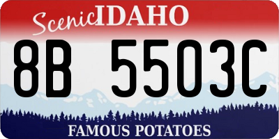 ID license plate 8B5503C