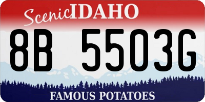 ID license plate 8B5503G
