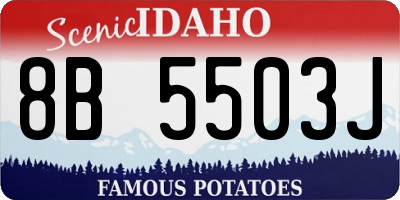 ID license plate 8B5503J