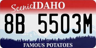 ID license plate 8B5503M