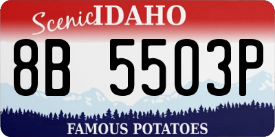 ID license plate 8B5503P