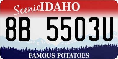 ID license plate 8B5503U