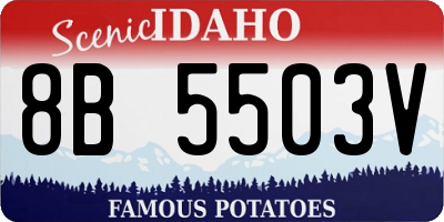 ID license plate 8B5503V