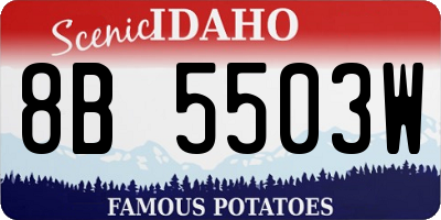 ID license plate 8B5503W